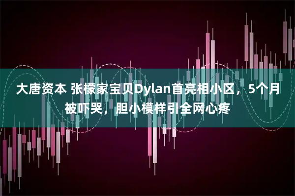 大唐资本 张檬家宝贝Dylan首亮相小区，5个月被吓哭，胆小模样引全网心疼