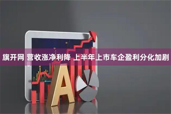 旗开网 营收涨净利降 上半年上市车企盈利分化加剧