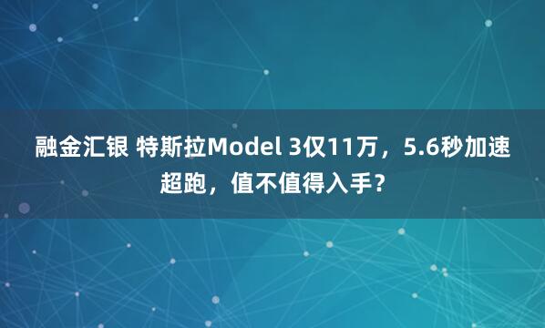 融金汇银 特斯拉Model 3仅11万，5.6秒加速超跑，值不值得入手？