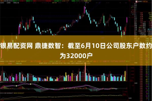 银易配资网 鼎捷数智：截至6月10日公司股东户数约为32000户
