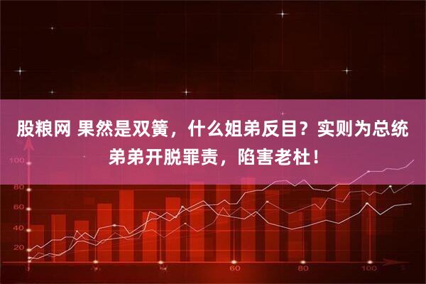 股粮网 果然是双簧，什么姐弟反目？实则为总统弟弟开脱罪责，陷害老杜！