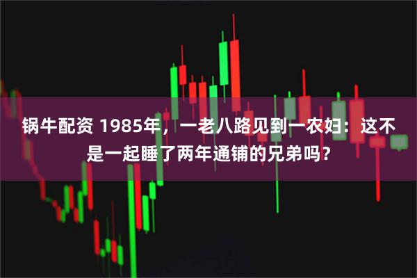 锅牛配资 1985年，一老八路见到一农妇：这不是一起睡了两年通铺的兄弟吗？